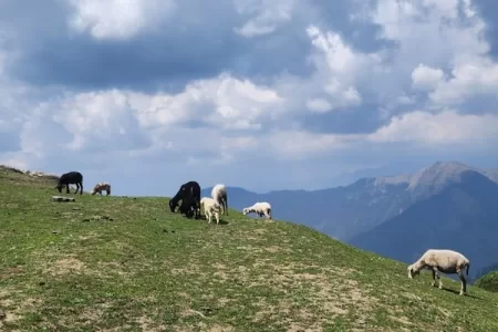נוף בגיבי